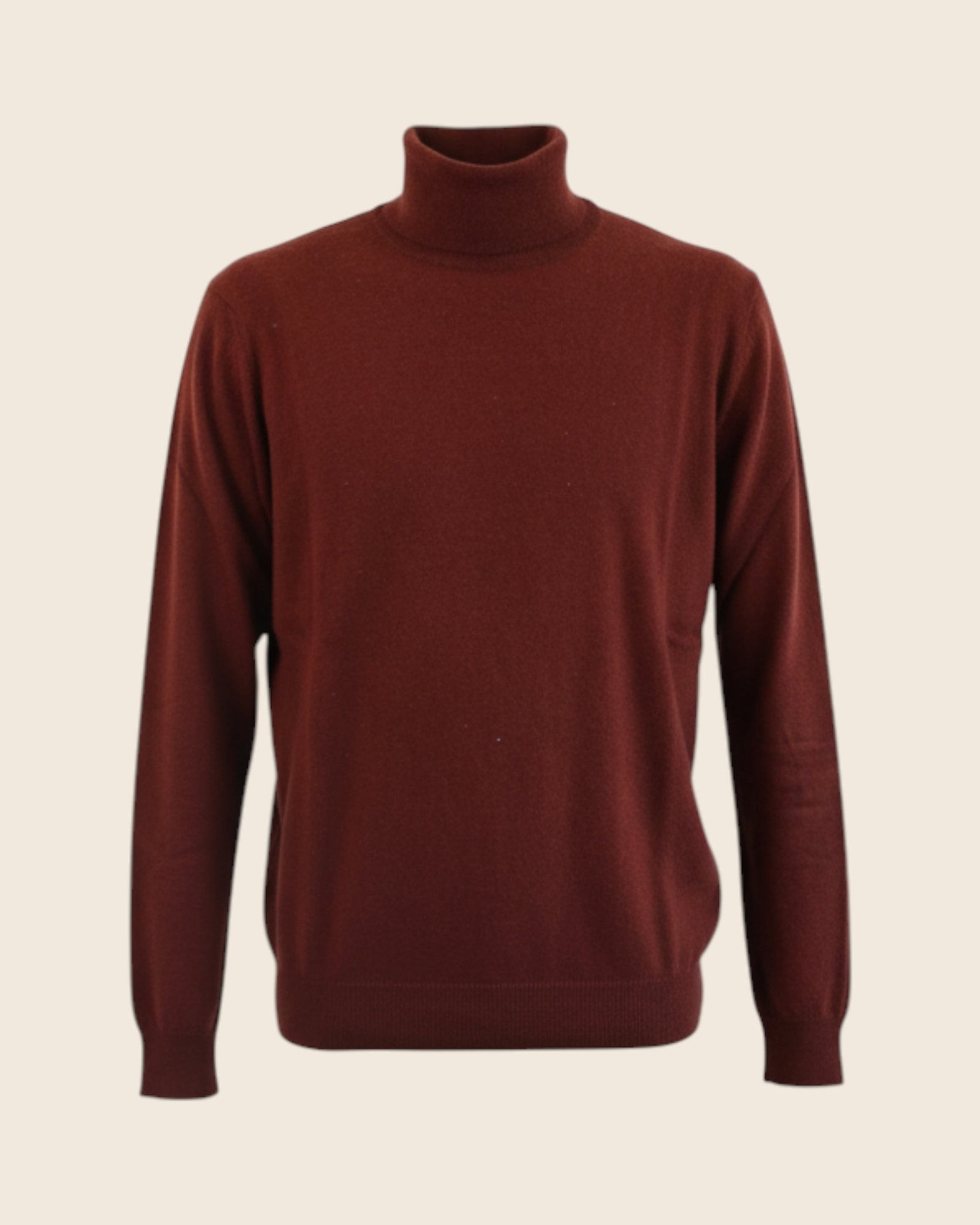 Cashmere turtleneck sweater